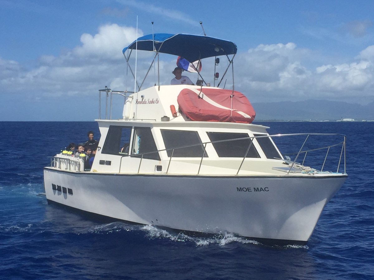 Oahu Scuba Diving | Honolulu Scuba Company