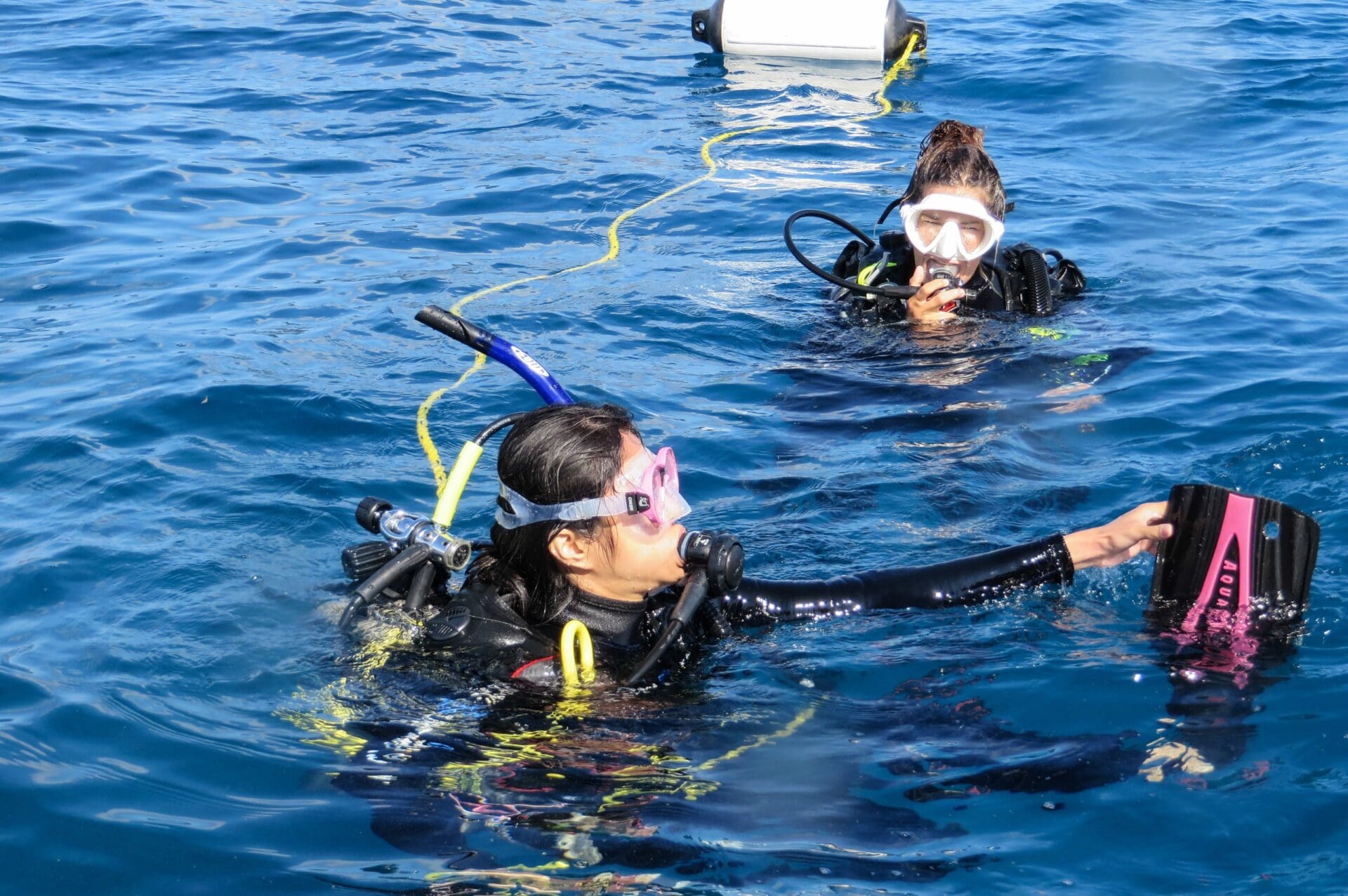 Oahu Scuba Diving | Honolulu Scuba Company