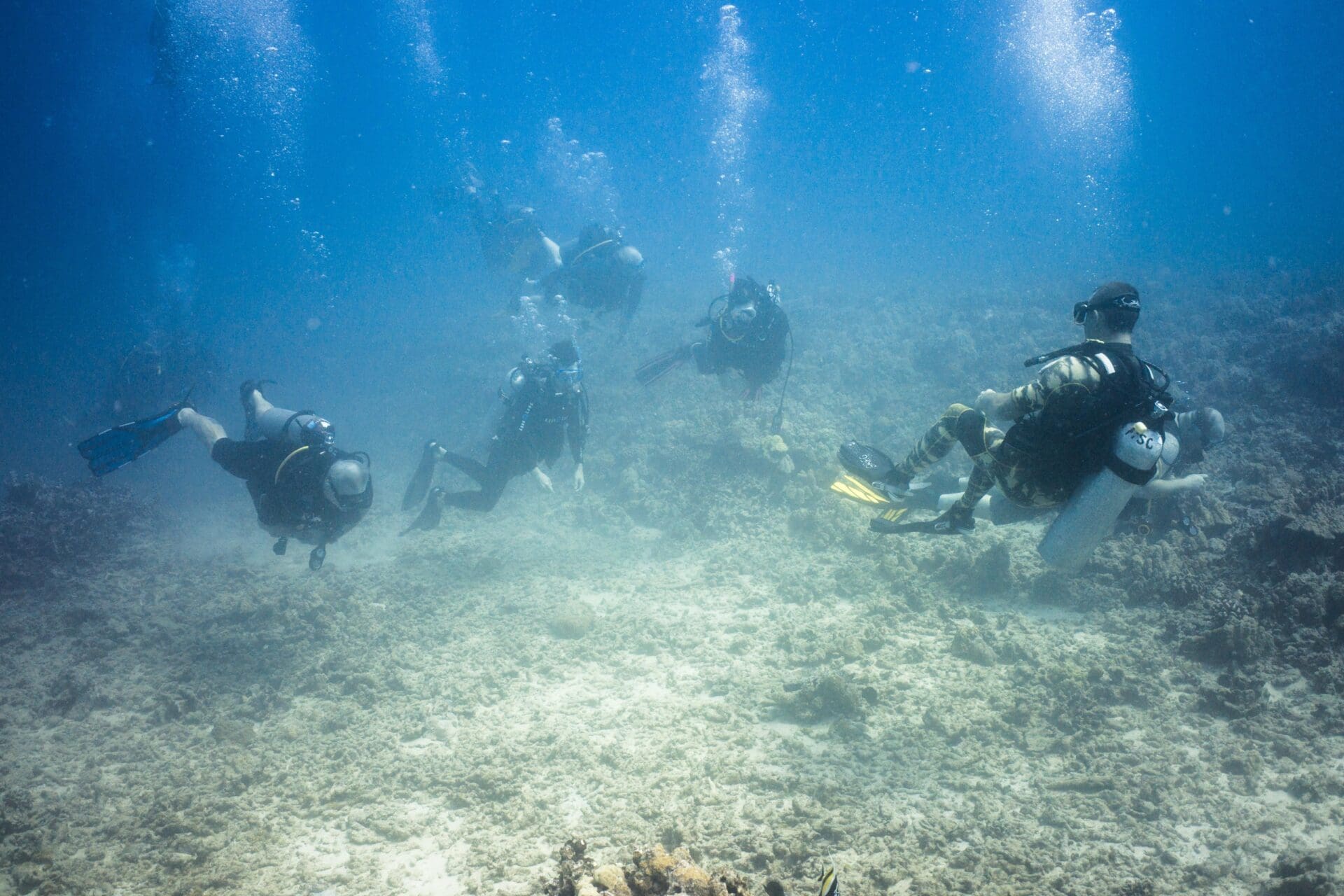 Oahu Scuba Diving | Honolulu Scuba Company